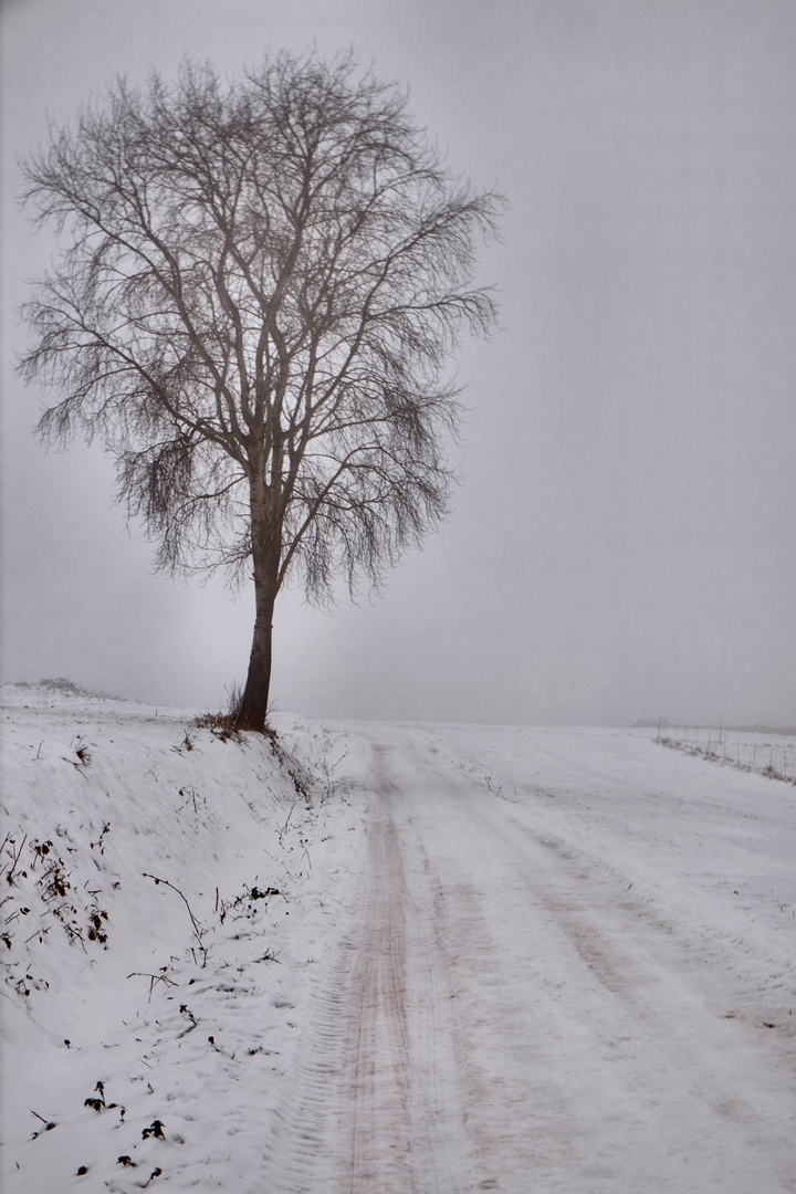 Winter im Nebeldunst