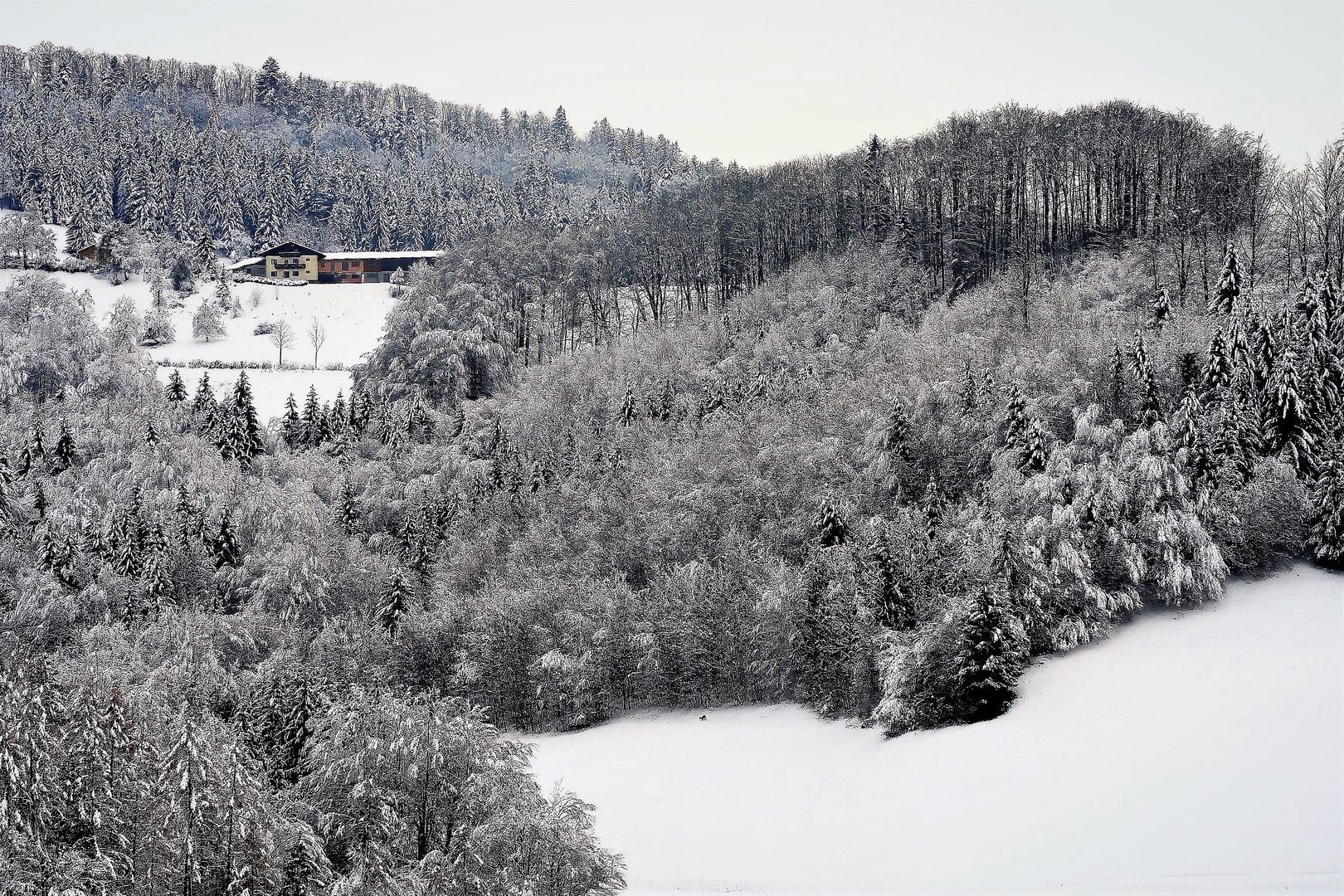 Winter im Niederösterreichischen Alpenvorland