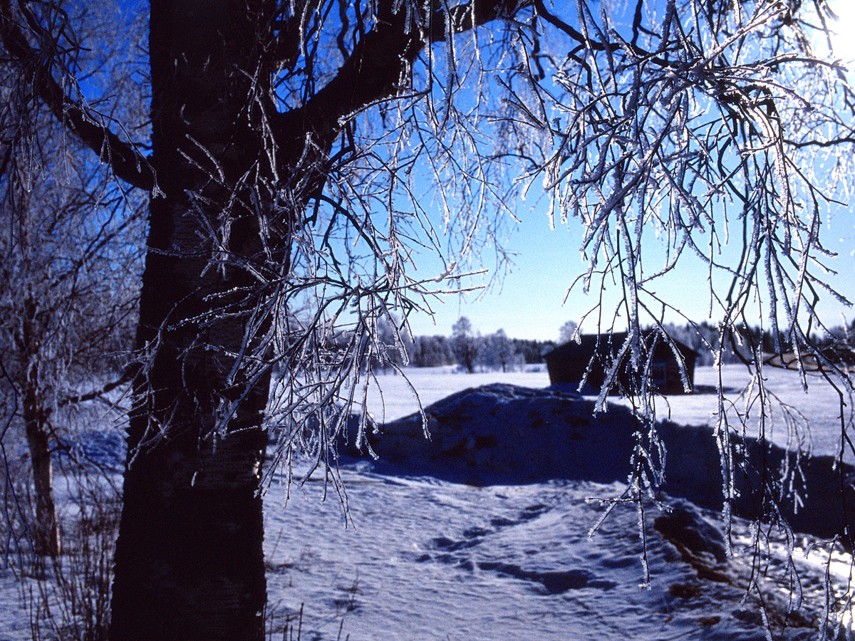 Winter im Norden