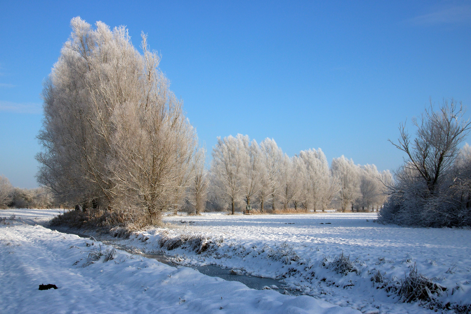 Winter im Norden, leider nur noch selten der Fall!