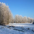 Winter im Norden, leider nur noch selten der Fall!