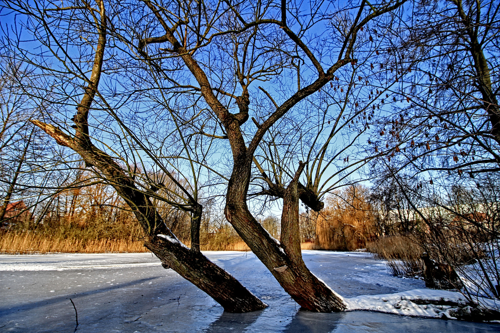 - Winter im Norden - vor einem Jahr -