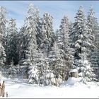 Winter im Nordschwarzwald...