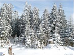 Winter im Nordschwarzwald...