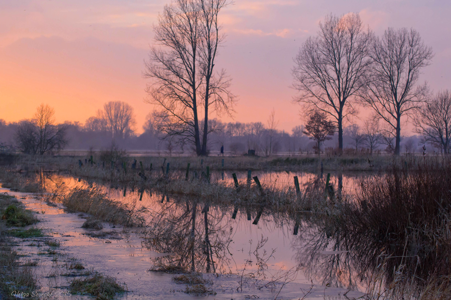 Winter im Nordwesten