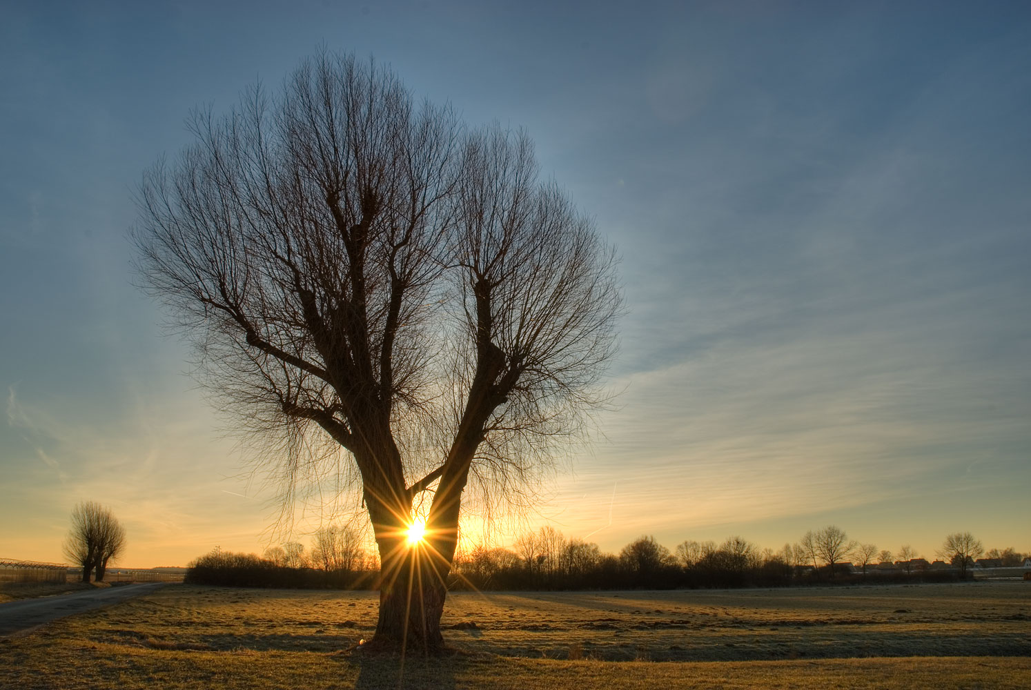 Winter im Nürnberger Knoblauchsland