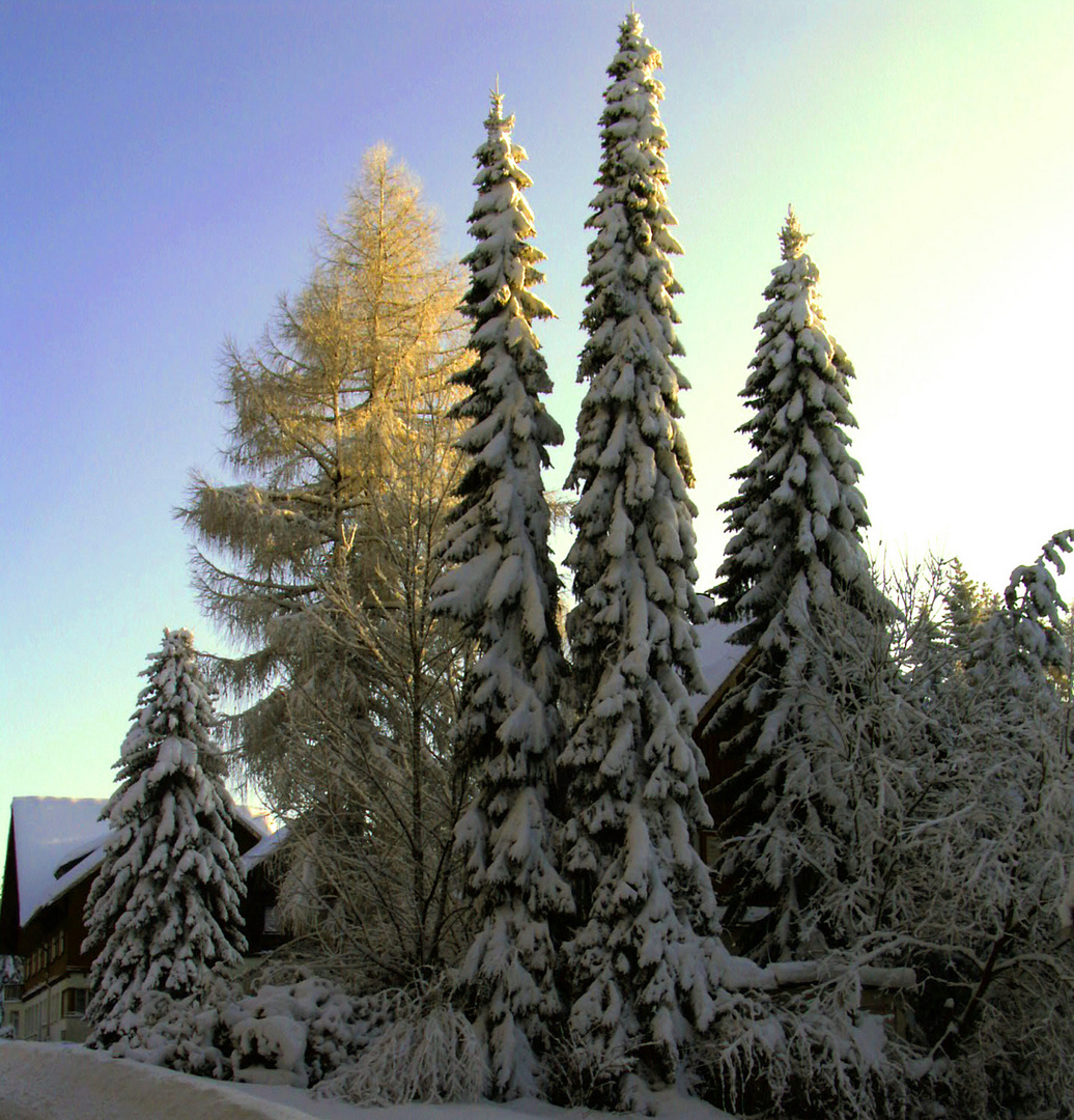 Winter im oberen Vogtland