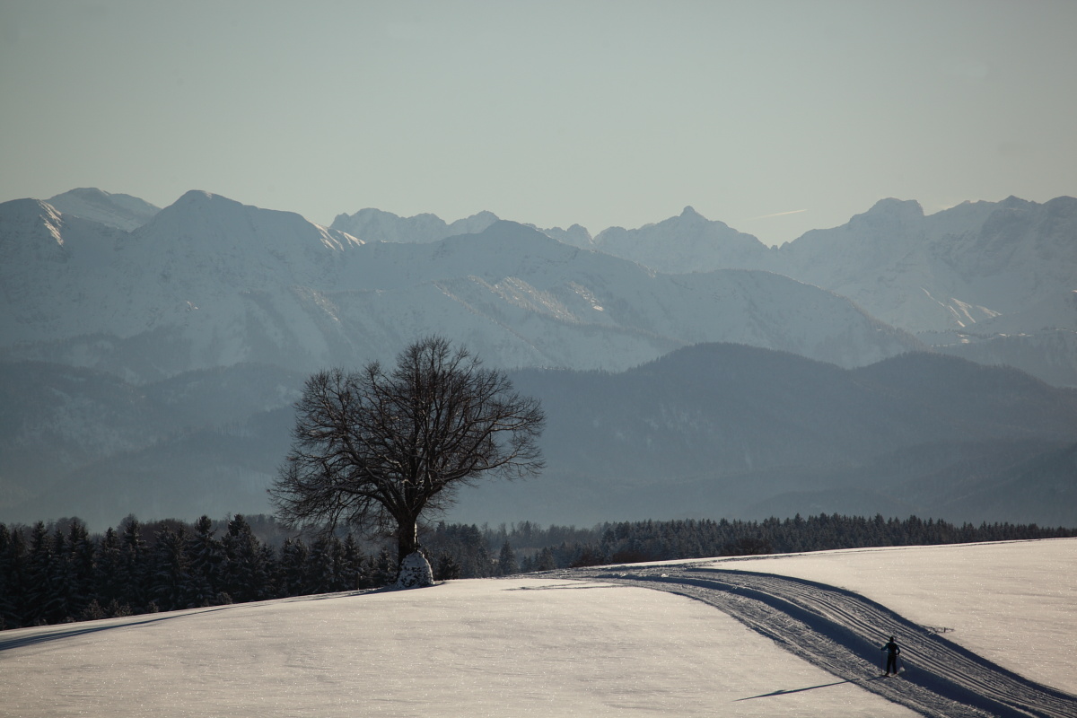 Winter im Oberland