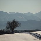 Winter im Oberland