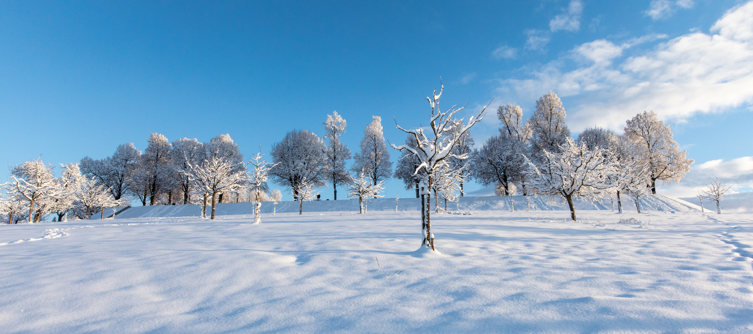 Winter im Obstgarten (2)