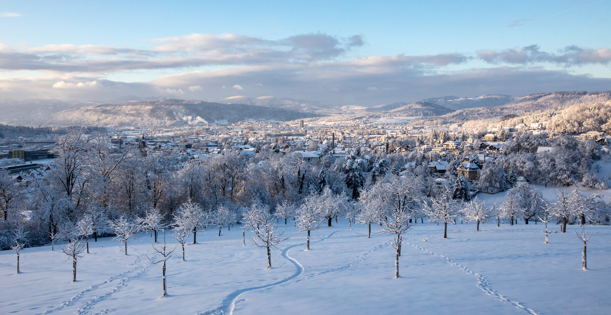 Winter im Obstgarten (3)