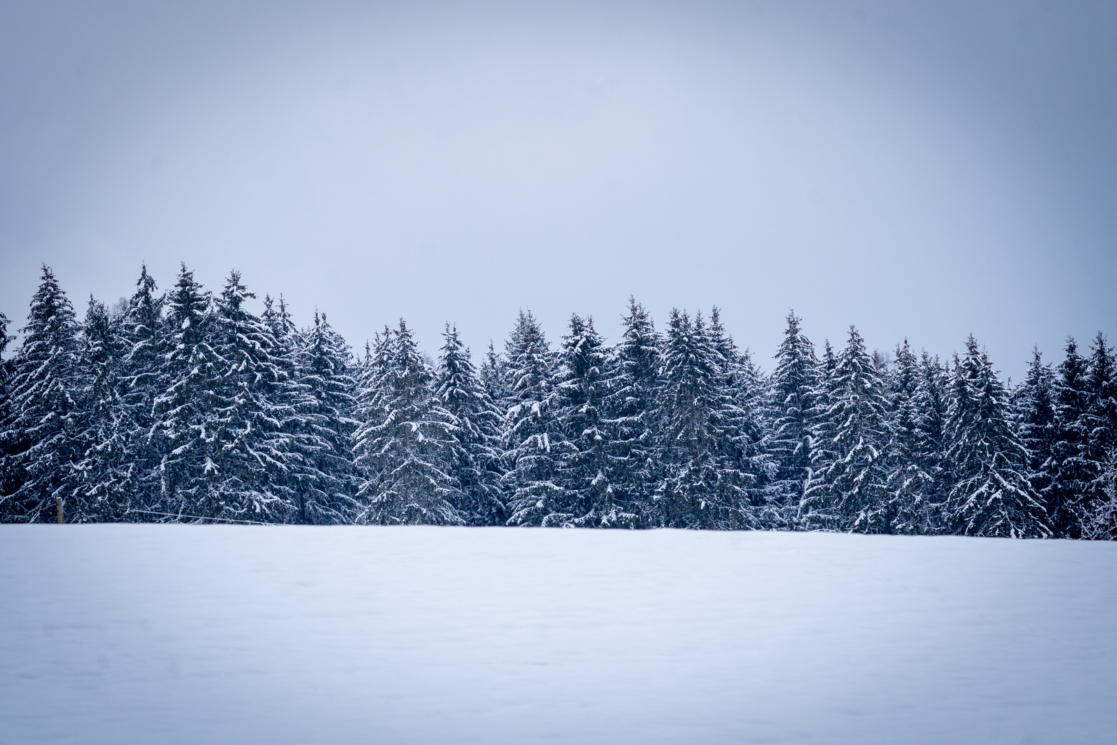 Winter im Odenwald 2021