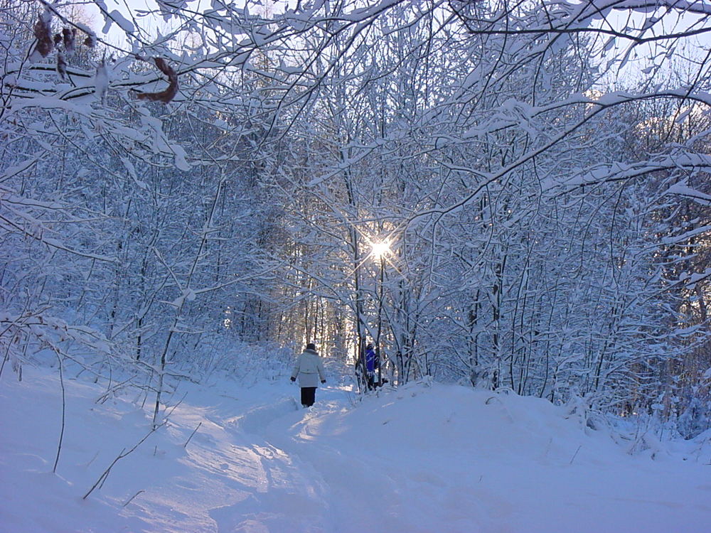 Winter im Odenwald