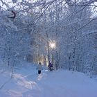 Winter im Odenwald