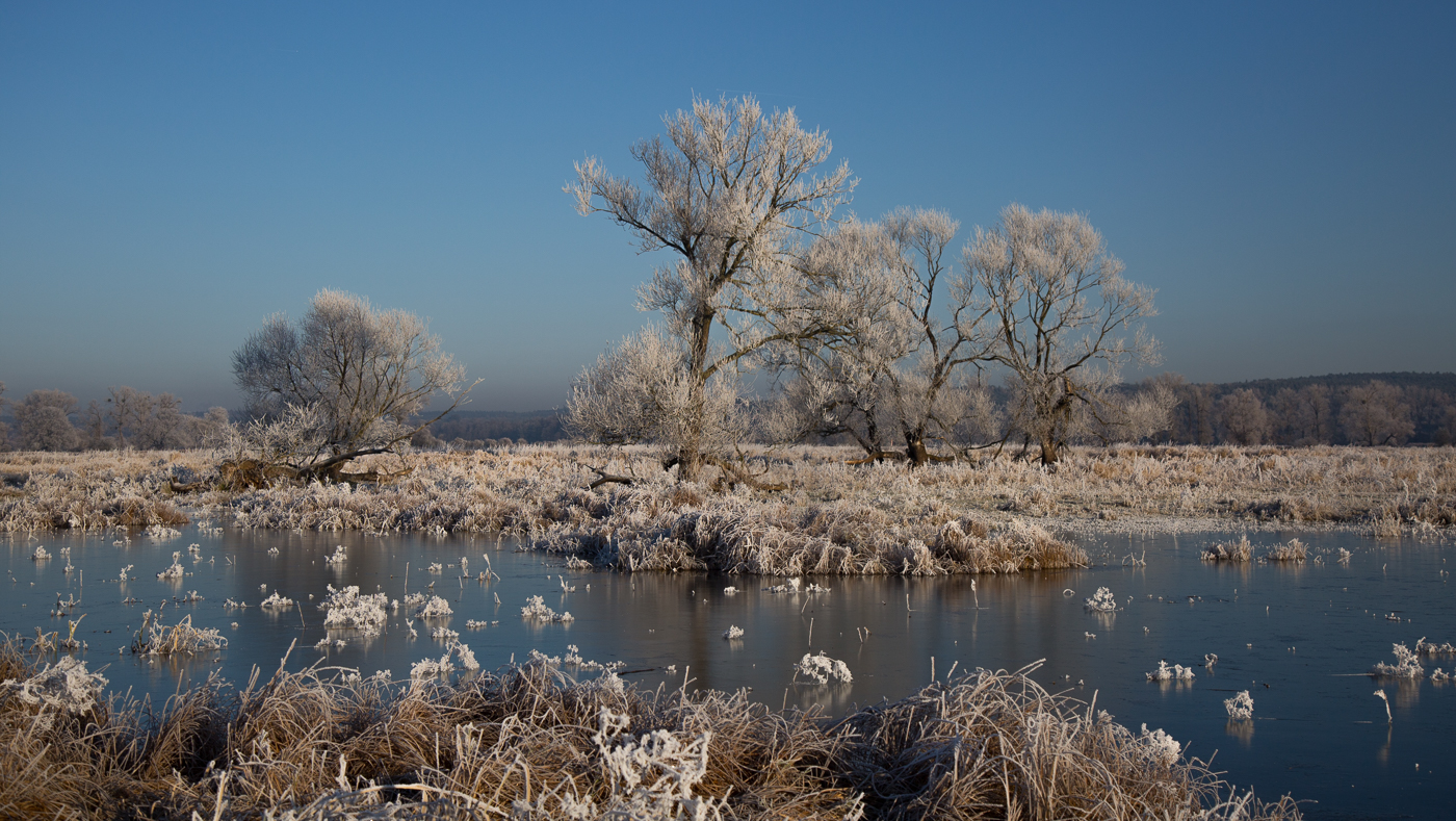 Winter im Odervorland