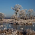 Winter im Odervorland