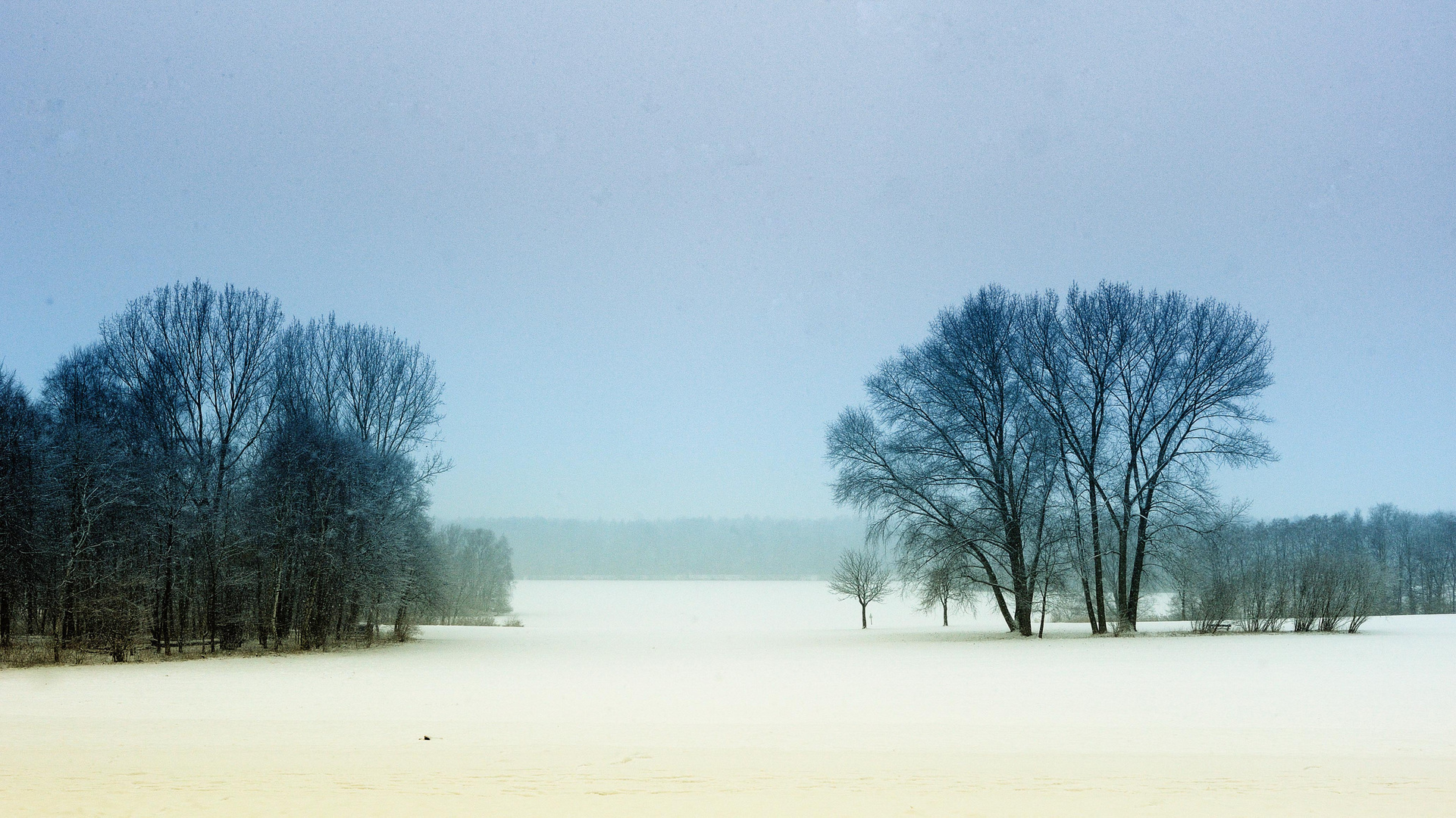 Winter im Öjendorfer Park