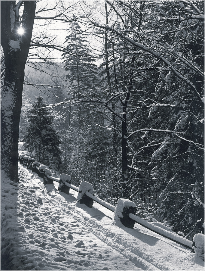 Winter im Okertal