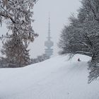 Winter im Olympiapark in München