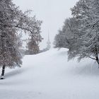 Winter im Olympiapark München (II)