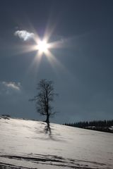 Winter im Ost-Erzgebirge