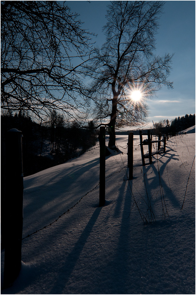 Winter im Ostallgäu