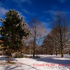 Winter im Park