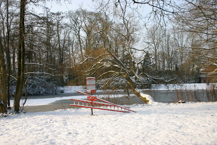 Winter im Park - 1