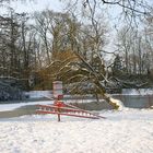 Winter im Park - 1