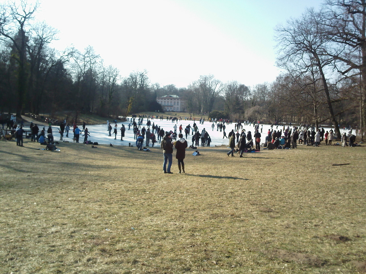 Winter im Park