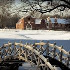 Winter im Park