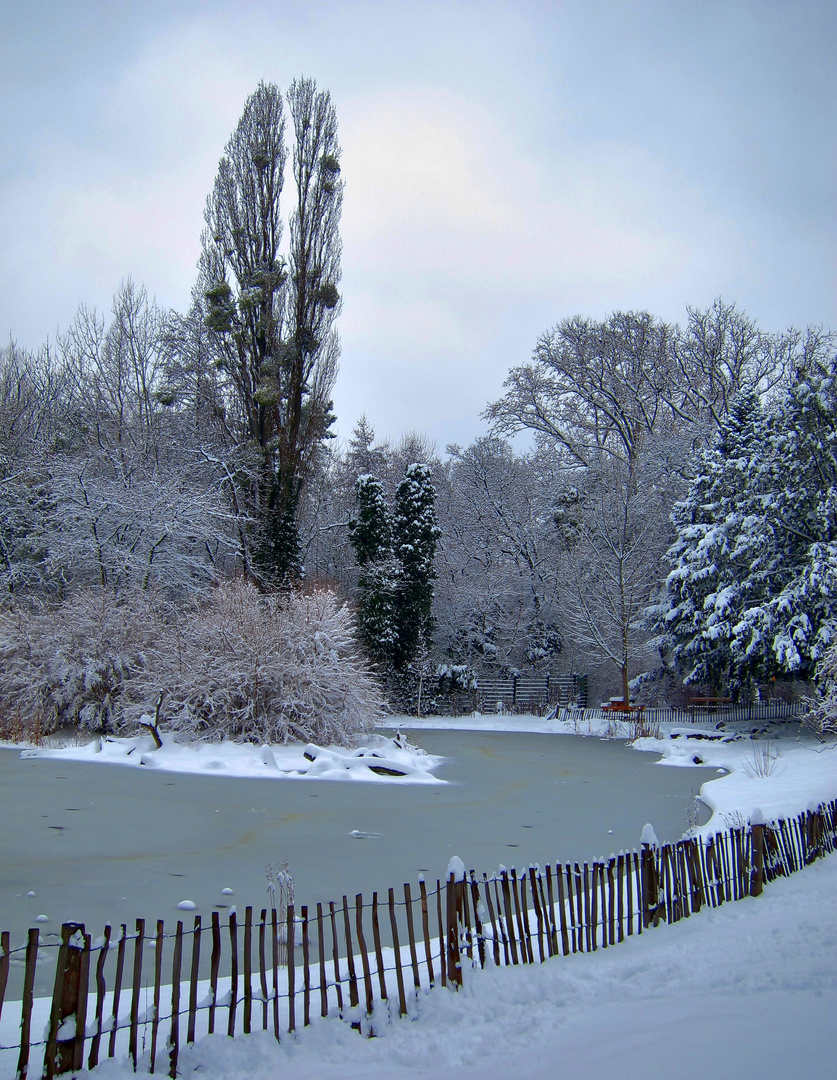 winter im park