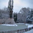 winter im park