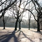 Winter im Park