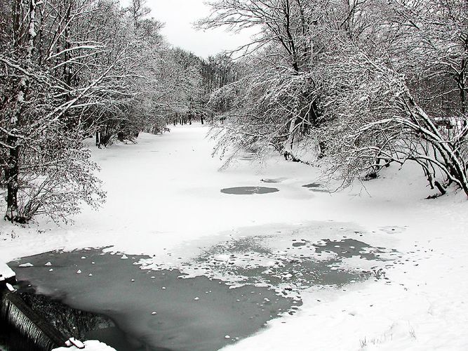 Winter im Park 2