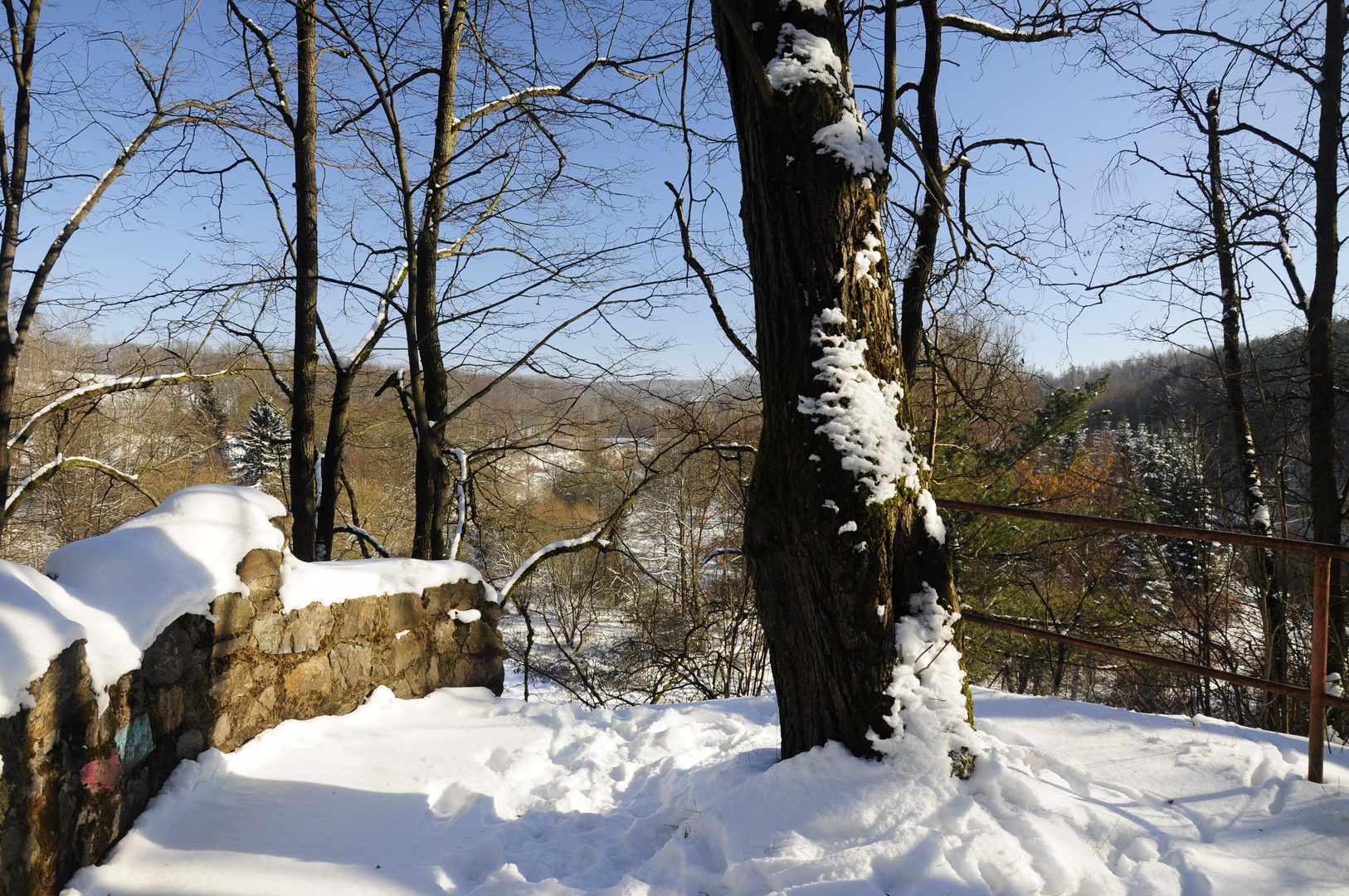 Winter im Park 2