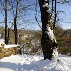 Winter im Park 2