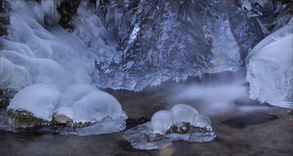 ... winter im park (2) ...