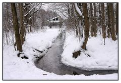 Winter im Park 2