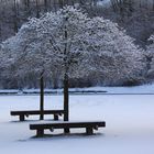 Winter im Park