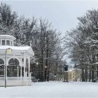 Winter im Park