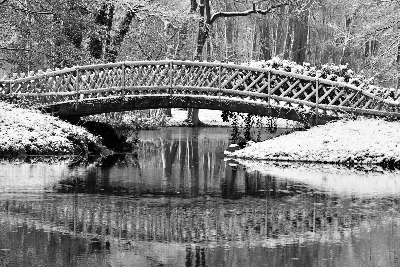 Winter Im Park