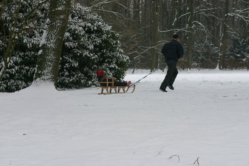 Winter im Park - 3