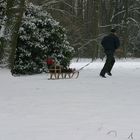 Winter im Park - 3