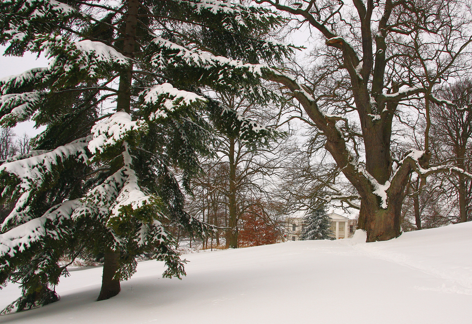 Winter im Park