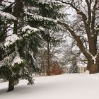 Winter im Park