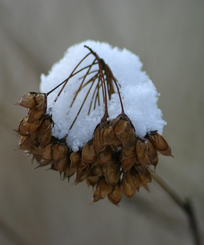 Winter im Park - 4