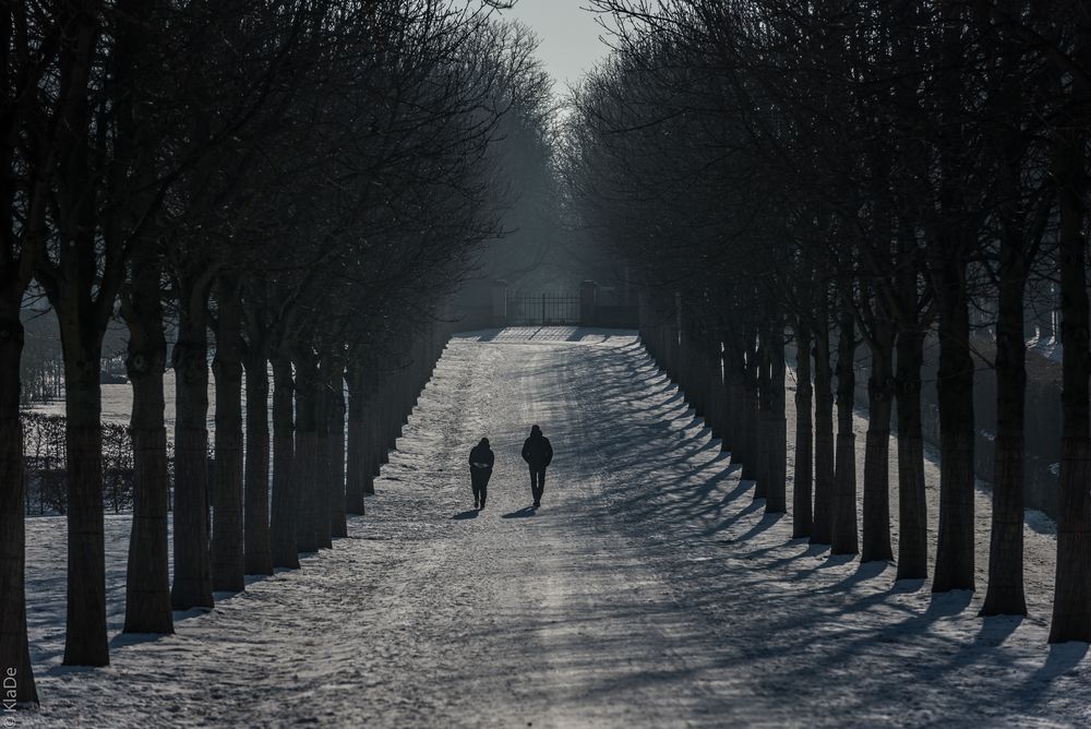 Winter im Park