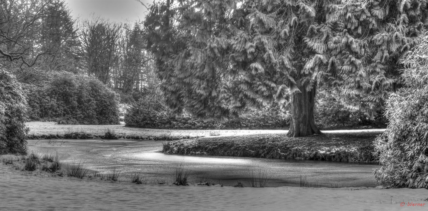 Winter im Park