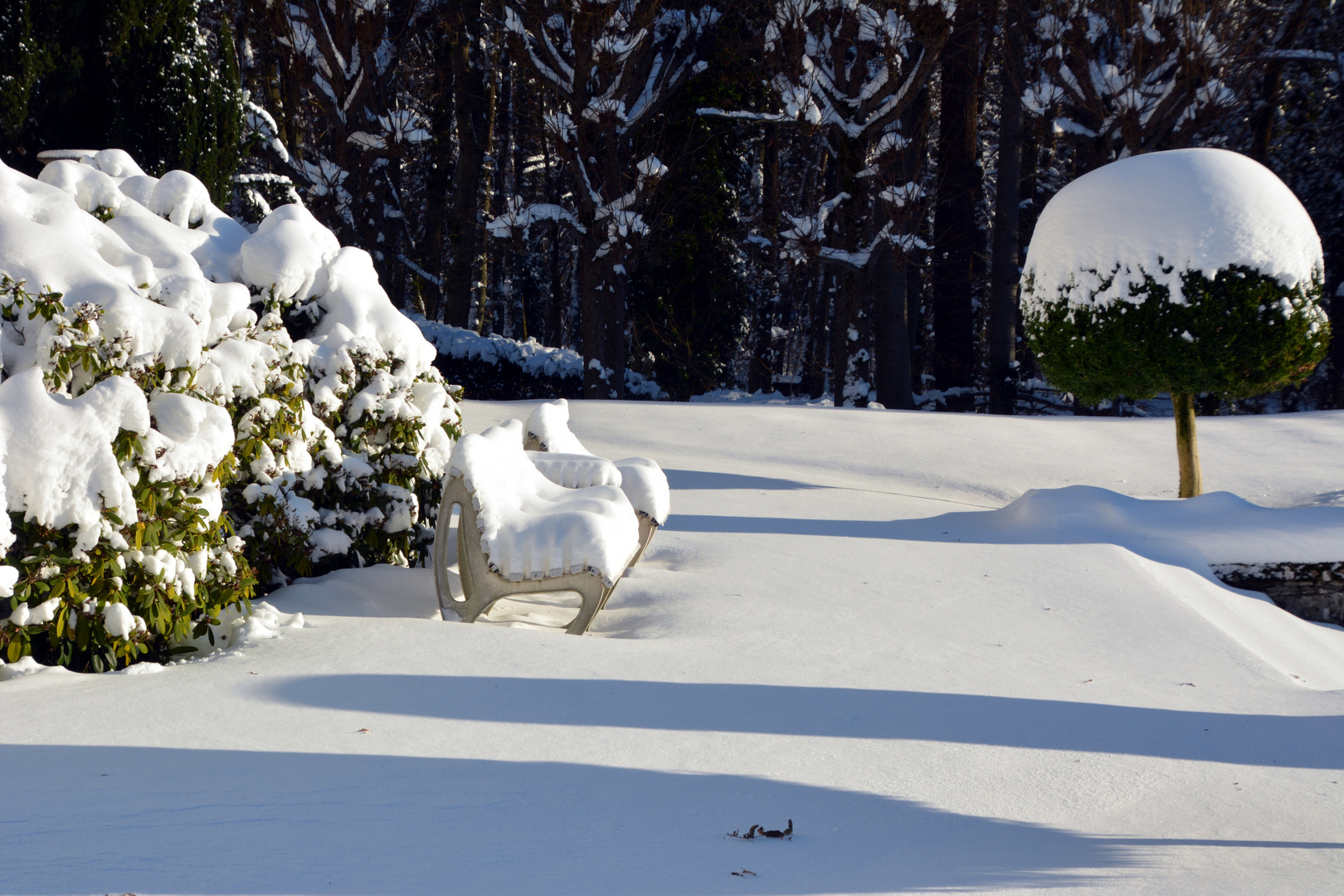 Winter im Park